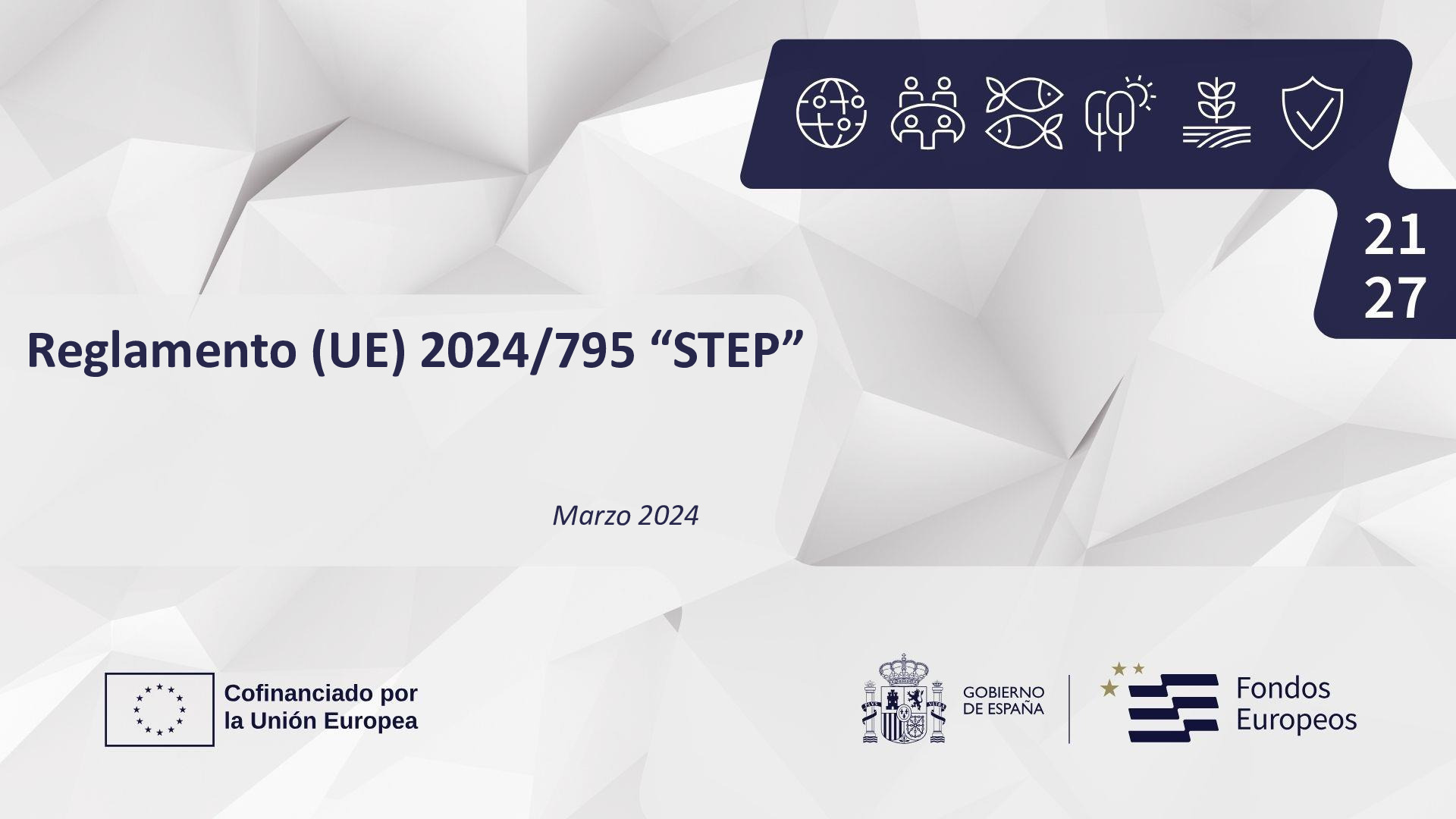 20240312 STEP_Sesión Plenaria2024