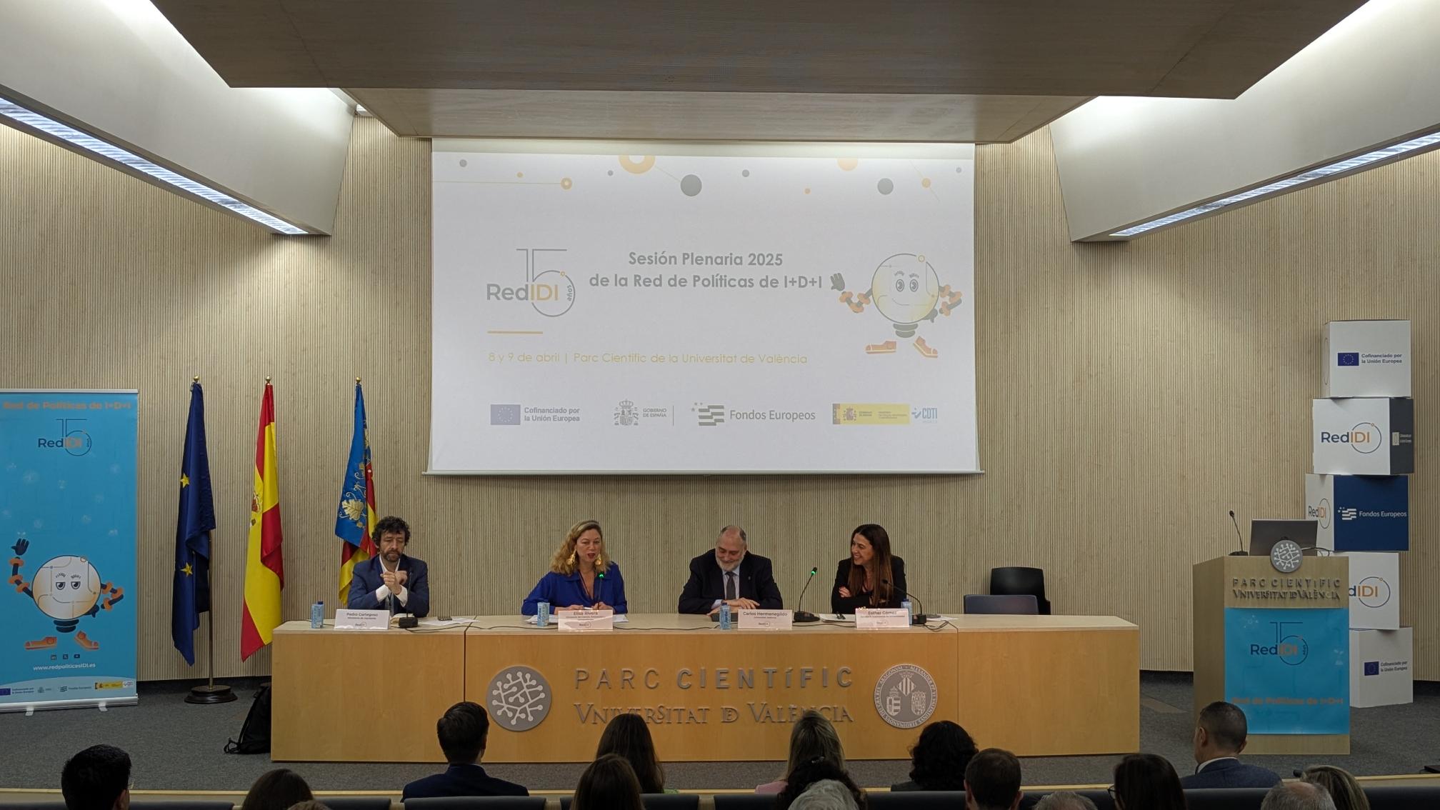 Red IDI Sesión Plenaria 2025 bienvenida