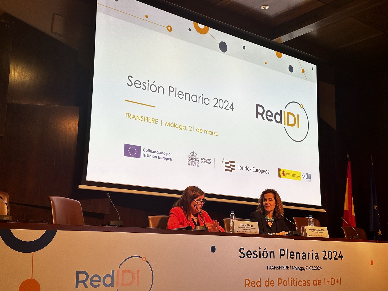 RedIDI-SesiónPlenaria 2024
