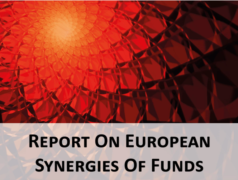 RIMA_report_synergies2025