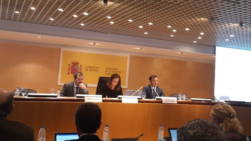 VIII Pleno Red IDI 2019