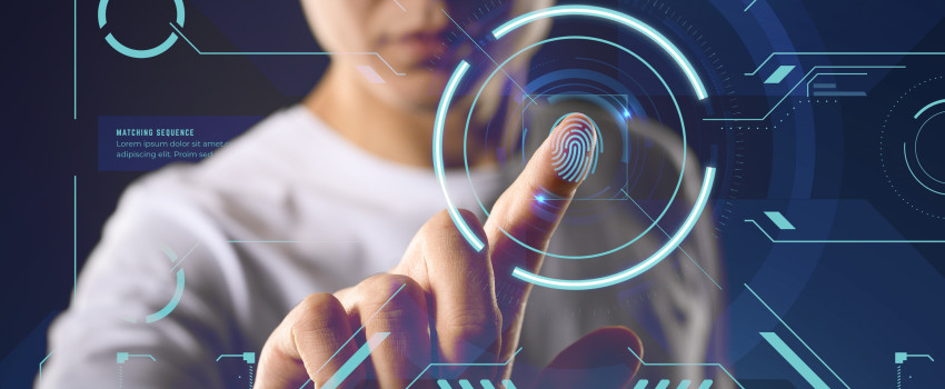 innovacion estrategia